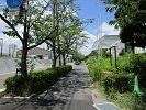 総合体育館前の歩道